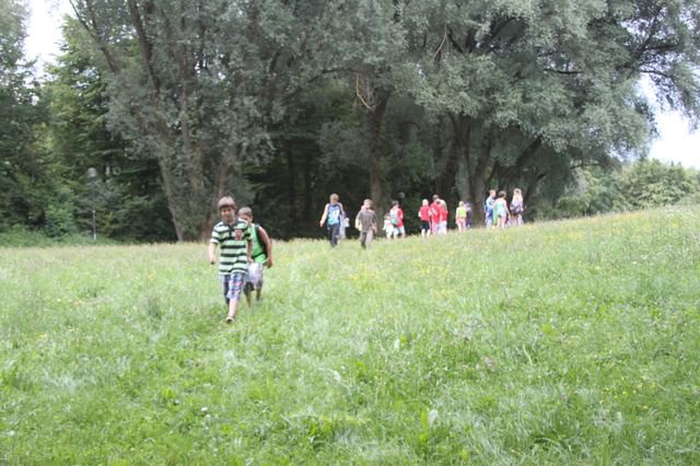 Bayerncamp 2014