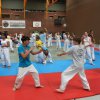Das Jahr 2013 - Bayerncamp 2013