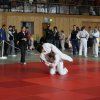 Das Jahr 2013 - Bayerische Meisterschaft 2013