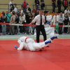 Das Jahr 2013 - Süddeutsche Meisterschaft 2013